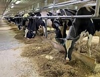 La sélection génétique comme solution